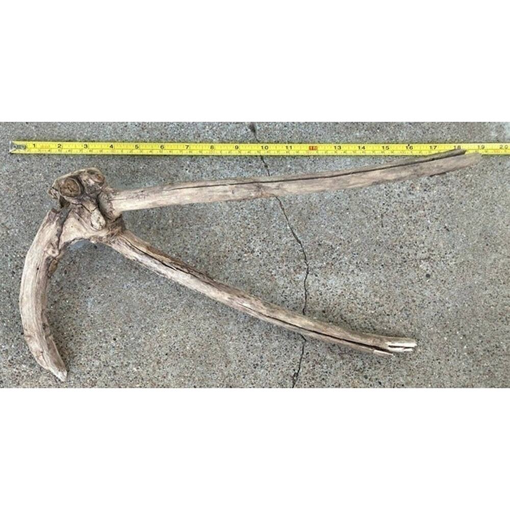 Ohio River Driftwood 15.25"x8"x3.25"